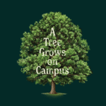 Illustration of oak tree with article title "A Tree Grows on Campus"